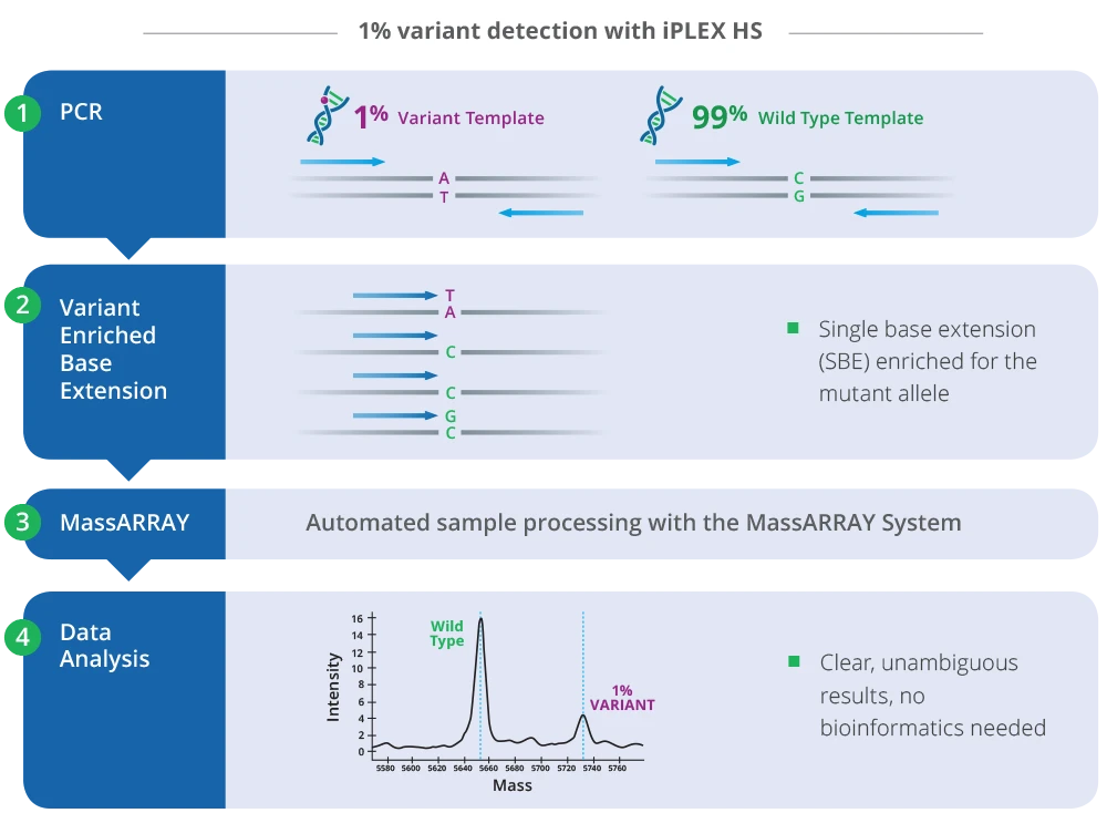 iPlex variant detection workflow