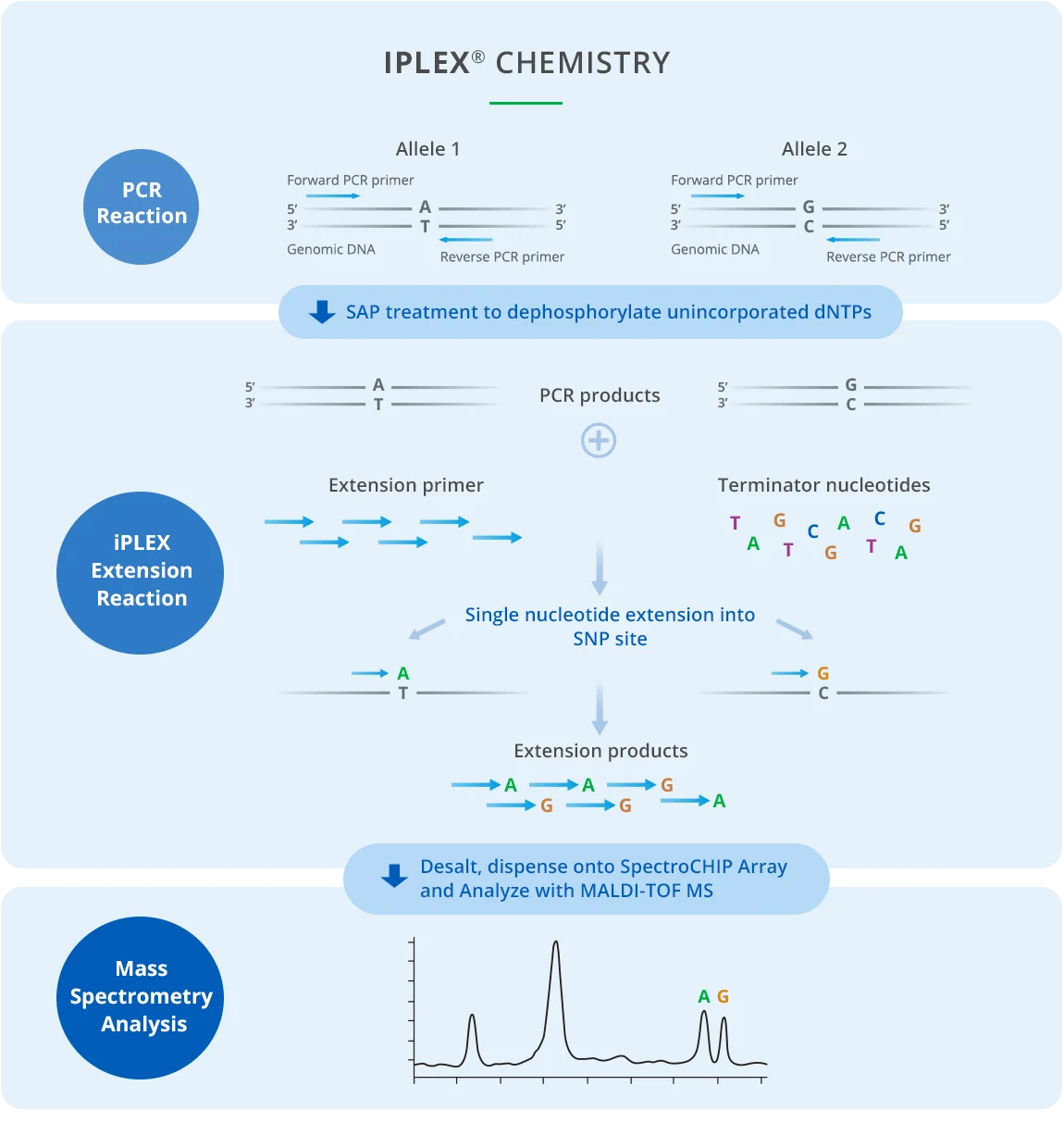 iPLEX Chemistry