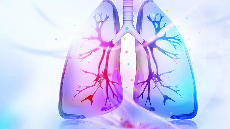 Cystic fibrosis lungs illustration highlighting CFTR gene expression